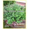 Mini manuál byliniek - Tatiana Plešová - online doručenie