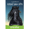 E-kniha Rychlý jako vítr: Jak to všechno začalo - Lea Schmidbauer