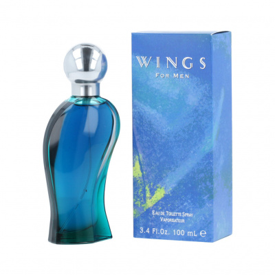 Giorgio Beverly Hills Wings EDT 100 ml (man)
