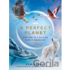 A Perfect Planet - Huw Cordey