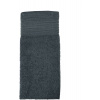 The One | Guest 30x50, Uterák pre hostí, sivá anthracite, onesize