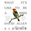What It's Like to be a Bird - David Allen Sibley