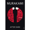 After Dark - Haruki Murakami
