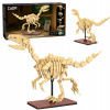 STAVEBNICA CADA SÚPRAVA SKELET MODEL DINO VELOCIRAPTOR DINOSAURIE FOSÍLIE 256
