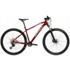 Horský bicykel - Kross Level Bicycle 6.0 L 29x19 Ruby Silver (Kross Level Bicycle 6.0 L 29x19 Ruby Silver)