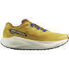 Salomon Aero Blaze 3 GRVL spicy mustard vanilla ice nautical blue pánské Velikost: 44