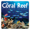 Coral Reef CD (Coral Reef CD)