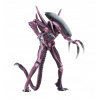 Akčná figúrka, postavička - NECA Alien vs. Obrázky Predator AVP Game Edition (Akčná figúrka, postavička - NECA Alien vs. Obrázky Predator AVP Game Edition)