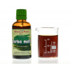 Yerba maté - bylinné kapky (tinktura) 50 ml - doplněk stravy