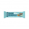 BOMBUS Raw ENERGY Slaný Karamel & Arašidy 50g 50g