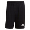 Adidas Squadra 21 M