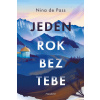 Jeden rok bez tebe - Nina de Pass
