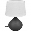Stolná lampička Trio R50371026