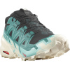 Salomon Speedcross 6 GTX - Black/Harbor Blue/Rainy Day 44