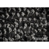 Haredim