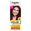 Palette Color Shampoo farba na vlasy bordó 4-99 1ks