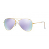 Ray-Ban RJ 9506S 249/4V 50/13/120