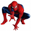 CUKROVÁ TLAČ jedlý obrázok na tortu Cukrová hmota Spiderman 8 + MENO TEXT
