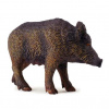 Collecta Diviačica
