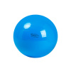 Physio Gymnic - veľká lopta na rehabilitáciu a cvičenie rovnováhy - 95 cm - modrá