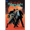 Batman by Tom King and Lee Weeks: The Deluxe Edition