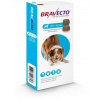 Bravecto Dog L 1000 mg žuvacie tablety pre veľké psy ( od 20 do 40 kg ), 1 x 2 tablety