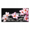 Obrázok 140x70 kvet Plumera na stene (Obrázok pre darček 140x70 kvet Plumera pre stenu)