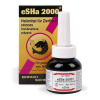 eSHa 2000