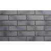 IZOFLEX Fasádny tehlový obklad 4111 Coruna BRICK Rozmery: 240 mm x 52 mm, Povrch: štruktúrovaný