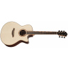 Furch Red Pure Gc-LR