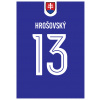 Superfutbal Maketa dresu Slovensko, modrá Rozmer: A3, Meno a číslo: Hrošovský 13
