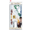GEOMETRICKÝ SET HARRY POTTER PRAVÍTKO 30 CM