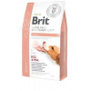 BRIT VD Brit Veterinary Diét Dog Renal Egg & Pea 2 kg