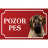 Mastif - Kovová tabuľka POZOR PES
