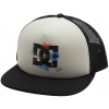 pánska šiltovka DC GAS STATION TRUCKER SEASONAL Lily White - WCQ0