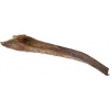 Trixie Papah wood - palmový list 50-65 cm pro plazy na lezení (6ks)