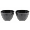 Čajník, kanvica na čaj - Liatina 2x čierny čaj cup set (Čajník, kanvica na čaj - Liatina 2x čierny čaj cup set)