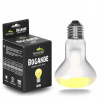 Terrario Bogande Basking Sun Light 50 W