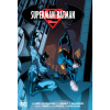Superman Batman Omnibus 1