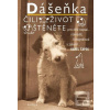 Dášeňka čili Život štěně… (Karel Čapek)