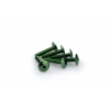 PUIG Skrutky PUIG ANODIZED 3995V zelená M6 x 30mm (6ks)