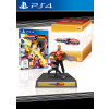 Naruto to Boruto: Shinobi Striker (Collector’s Edition)