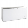 Mraznička na zmrzlinu plné veko | TEFCOLD FR 605 S SL