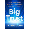 Big Trust - Shade Zahrai, Philip Faysal Sekkouah, Ebury Publishing