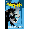 Batman 08: Chladné dny [King Tom]