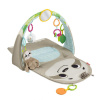 Fisher Price Hracia dečka s leňochodom