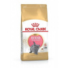 FBN BRITISH SHORT KITTEN 2 kg