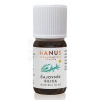 Hanus Čajovníková silica 10 ml 10 ml esenciálny olej