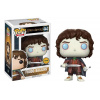 Funko Pop! The Lord of the Rings/ Hobbit Frodo Baggins CHASE 444
