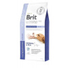 Brit Veterinary Diets GF pes Gastrointestinal Junior 2 kg (Brit Veterinary Diets GF pes Gastrointestinal Junior 2 kg)